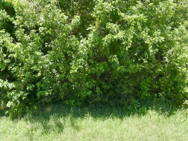 172 SW Gettysburg Drive, Port St Lucie, FL 34953