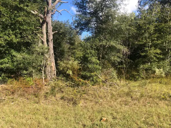 0 Dawn Avenue, Interlachen, FL 32148