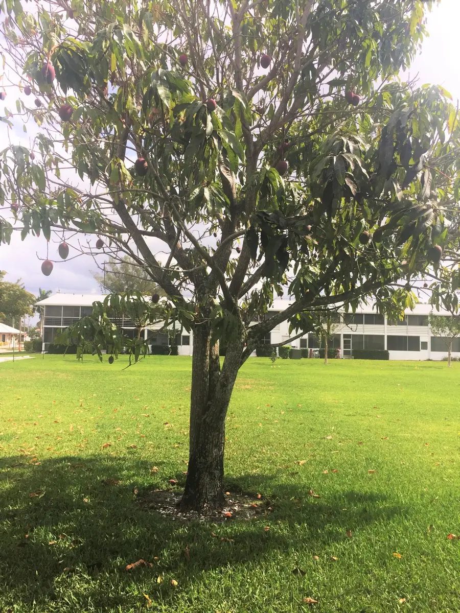 215 Windsor J, West Palm Beach, FL 33417 - #3