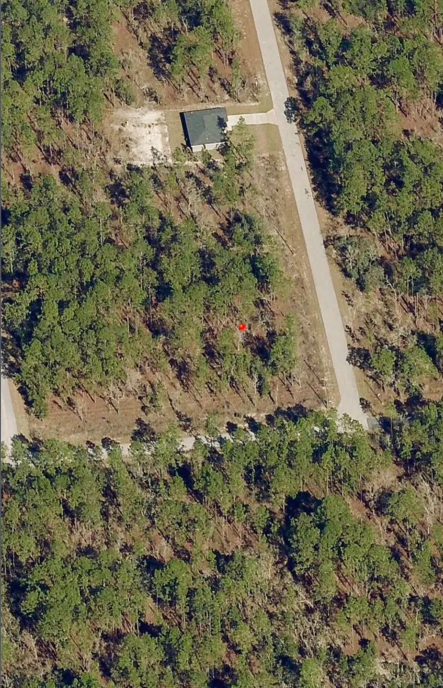 Tbd SW Buena Vista Road, Dunnellon, FL 34431 - #3