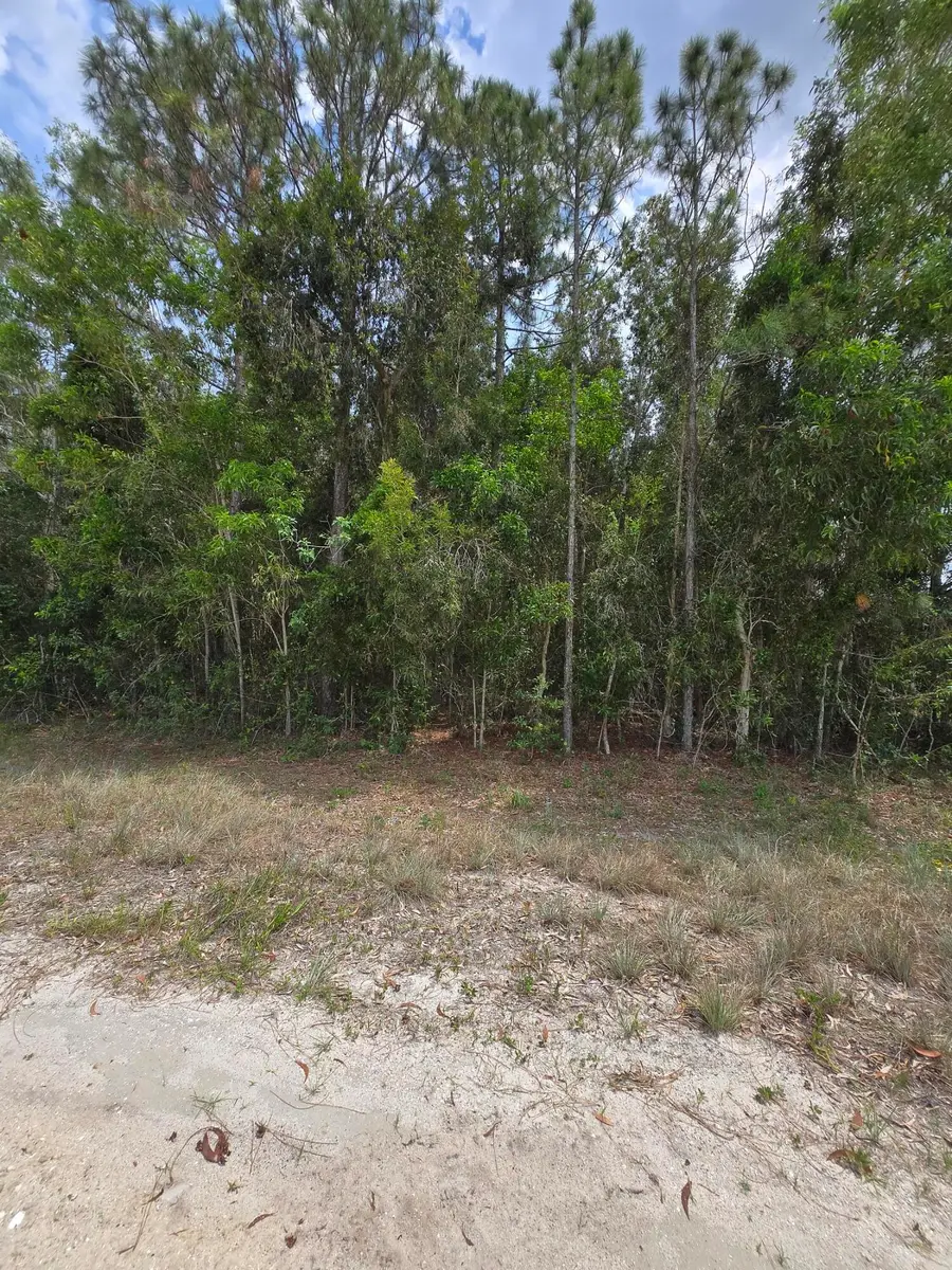 42 Nd Road N, Loxahatchee Groves, FL 33470 - #3