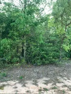 0 Gardenia Drive, Marianna, FL 32448