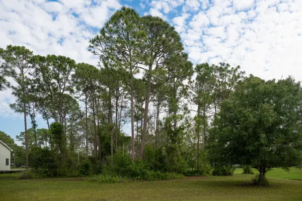 10638 Sugar Pine Drive, Fort Pierce, FL 34945