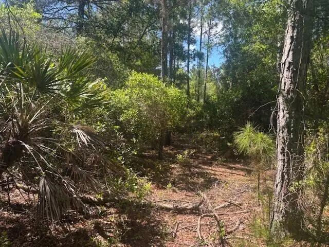 0 Golden Shores Blvd, Mims, FL 32754 - #1