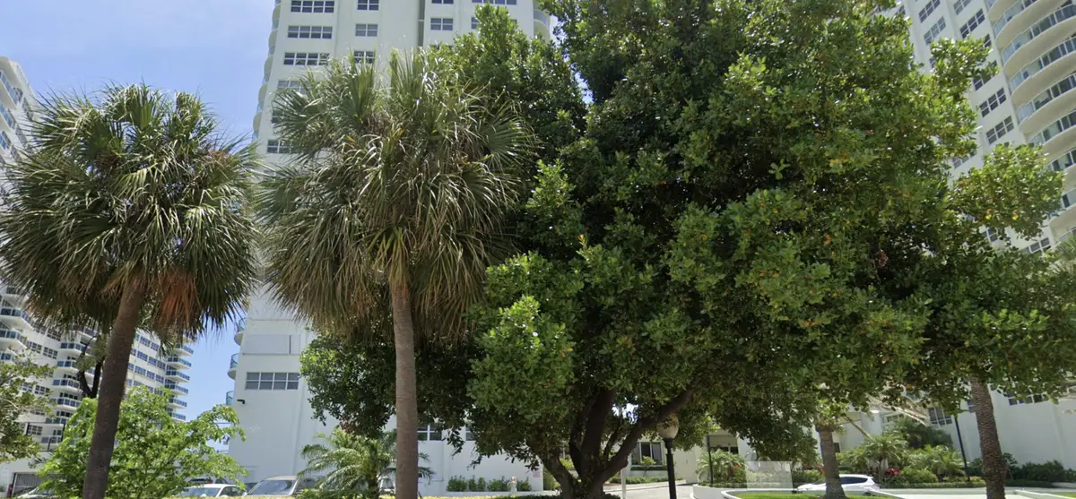 3400 Galt Ocean Drive #409s, Fort Lauderdale, FL 33308 - #1