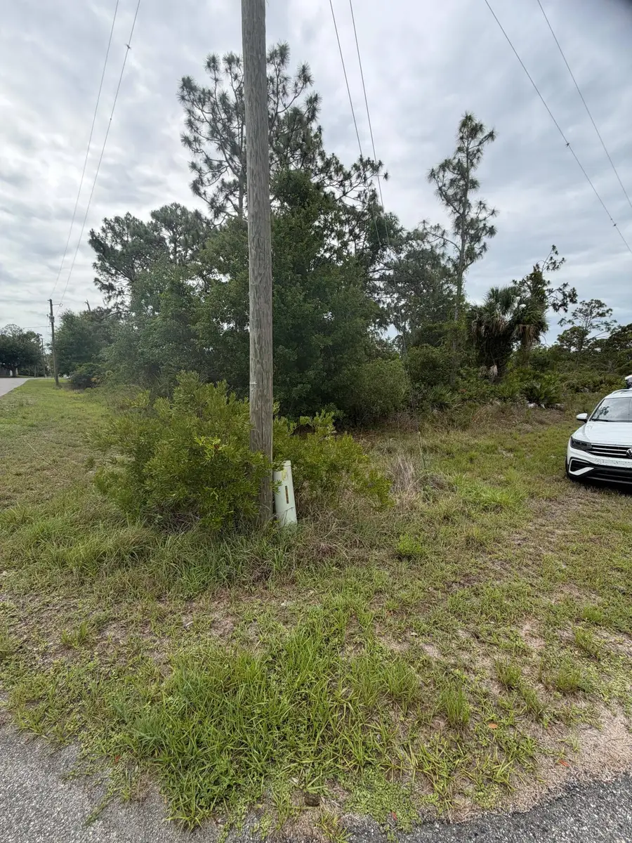 1170 Kingfisher Avenue Nw, Lake Placid, FL 33852 - #2