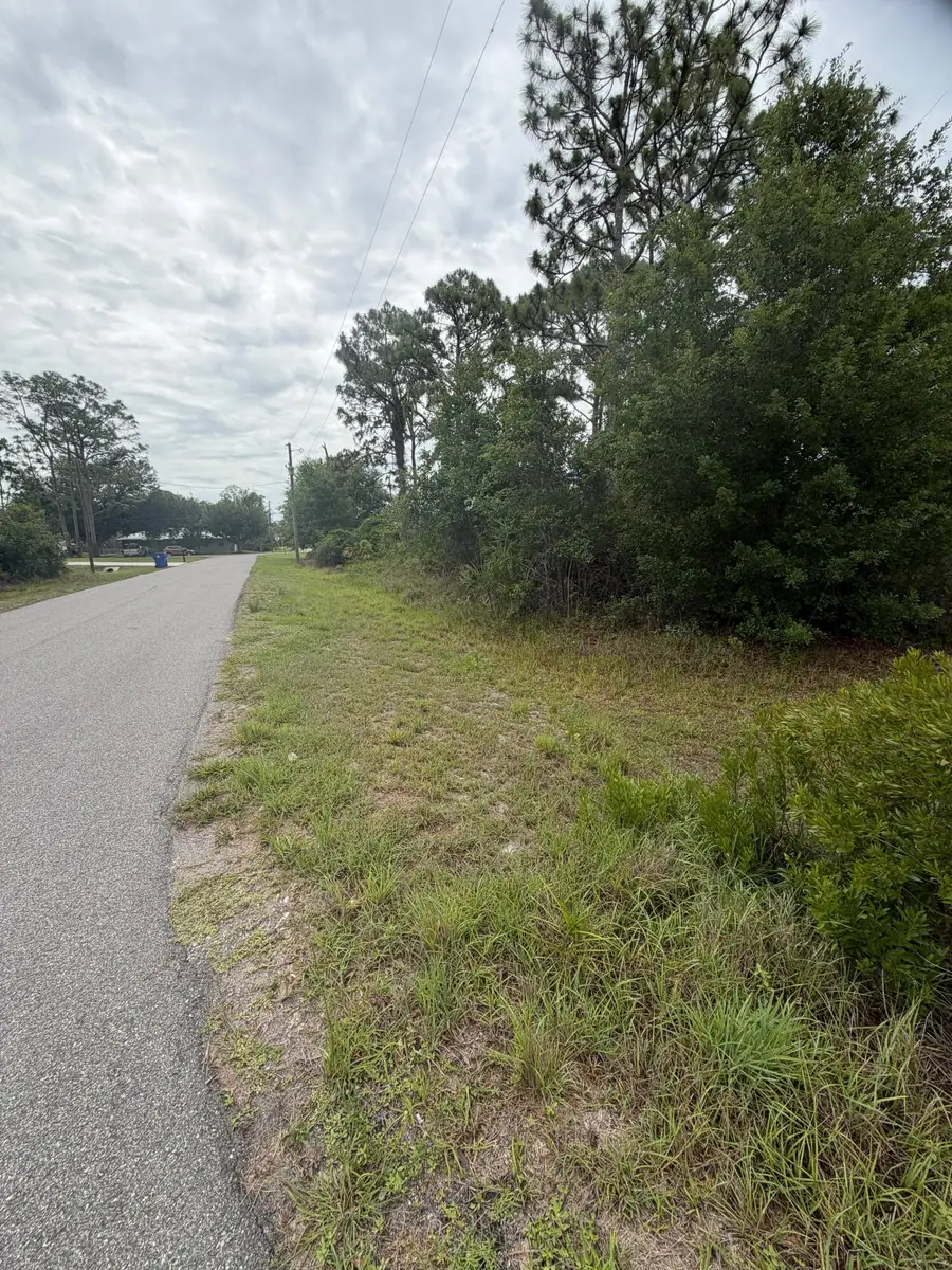 1170 Kingfisher Avenue Nw, Lake Placid, FL 33852 - #3