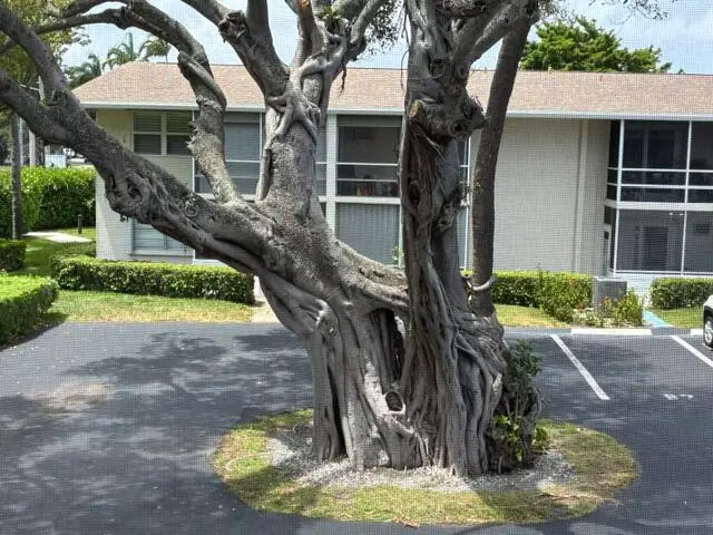 620 Horizon W #202, Boynton Beach, FL 33435 - #1