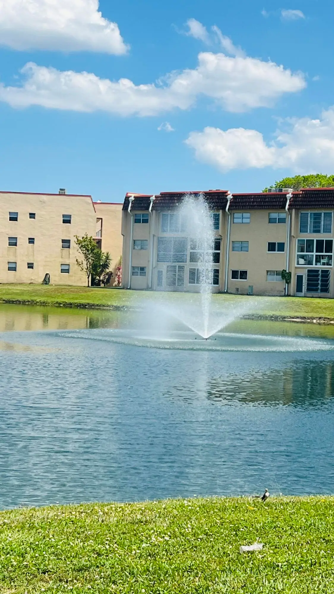 8920 Sunrise Lakes Boulevard #208, Sunrise, FL 33322 - #1