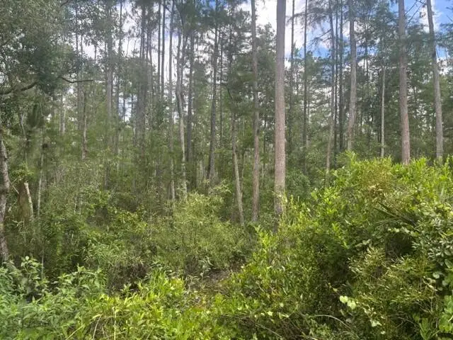 0 Water Road, Groveland Mascotte, FL 33868 - #2