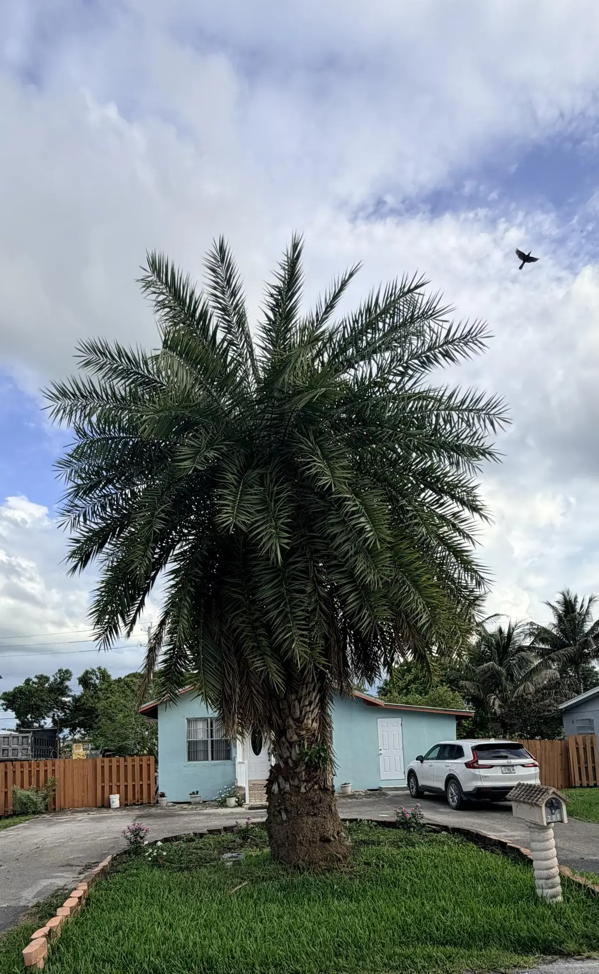 208 NW Avenue H Place, Belle Glade, FL 33430 - #1