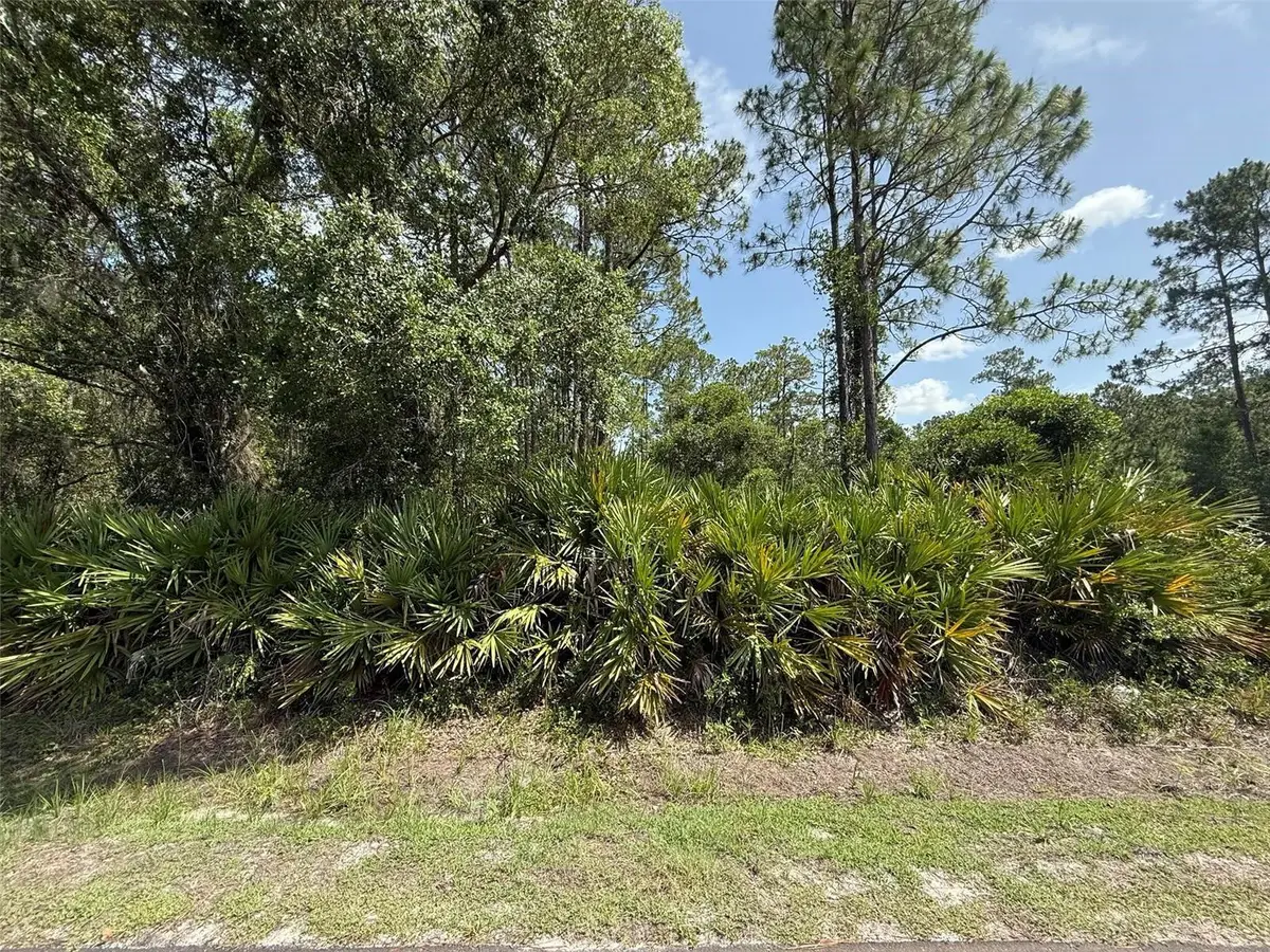 132 Millican Road, Palatka, FL 32177 - #1