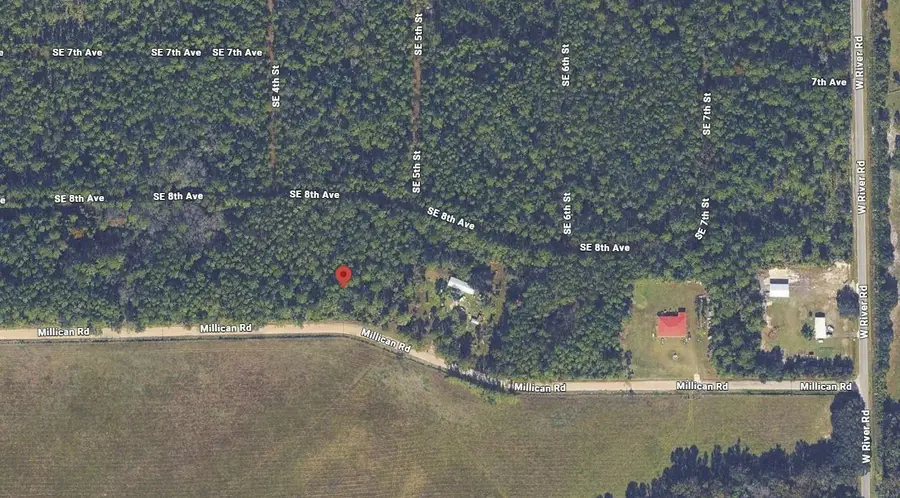 132 Millican Road, Palatka, FL 32177 - #3