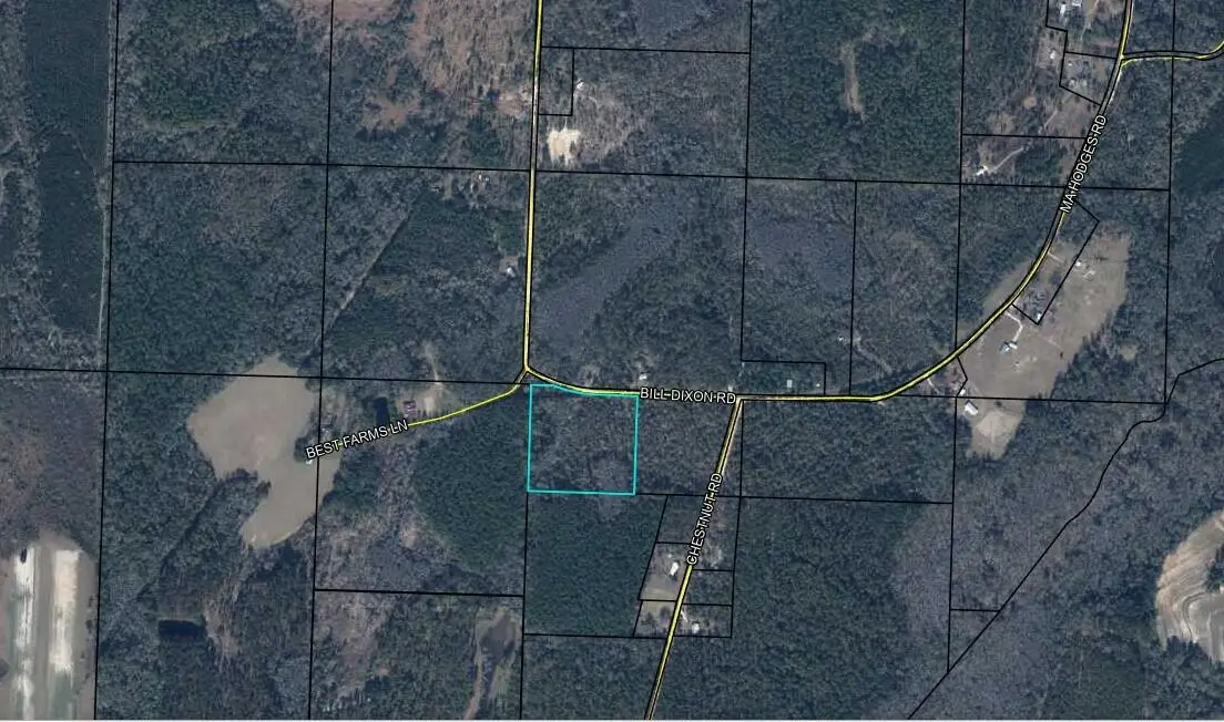 0 Bill Dixon Road, Graceville, FL 32440 - #1