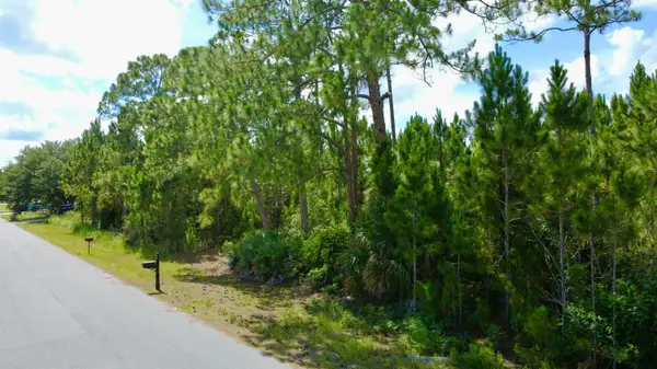 455 SE Dadeville St Street Se, Palm Bay, FL 32909