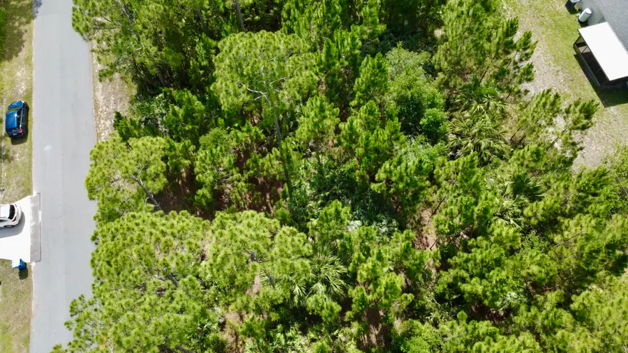 455 SE Dadeville St Street Se, Palm Bay, FL 32909 - #3