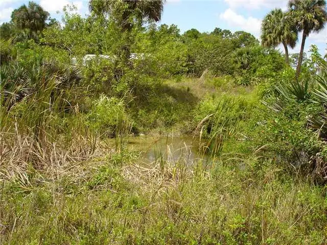 15780 N 99th St Street N #15780, The Acreage, FL 33412 - #1