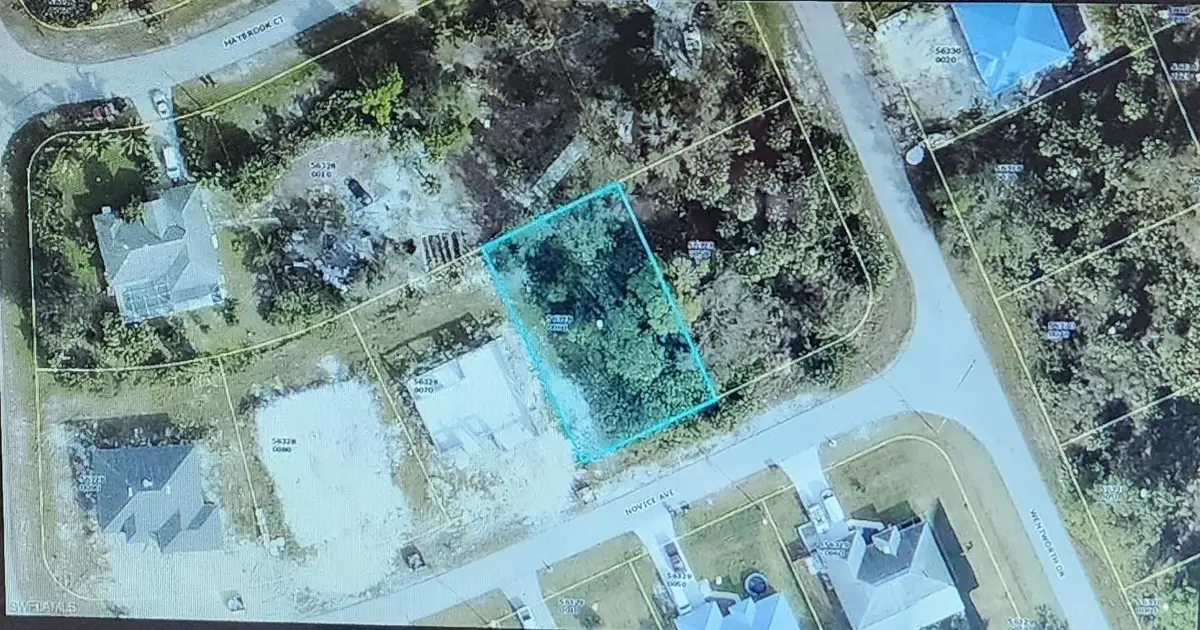 1847 Novice Avenue, Lehigh Acres, FL 33972 - #1