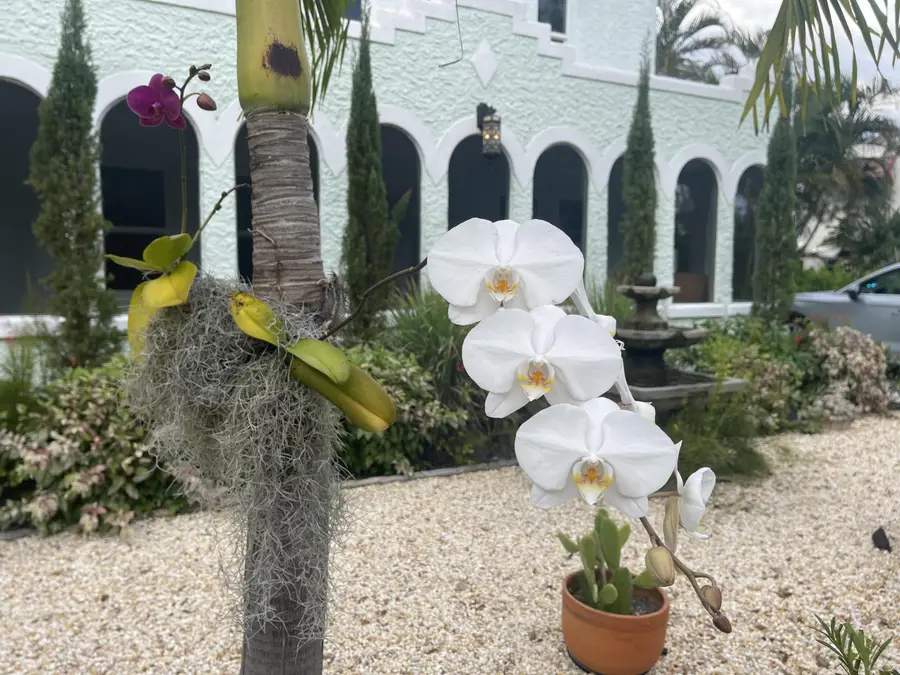 312 Fordham Drive, Lake Worth, FL 33460 - #2