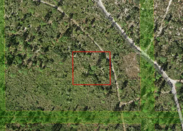 0 Holopaw Groves Road, St Cloud, FL 34772