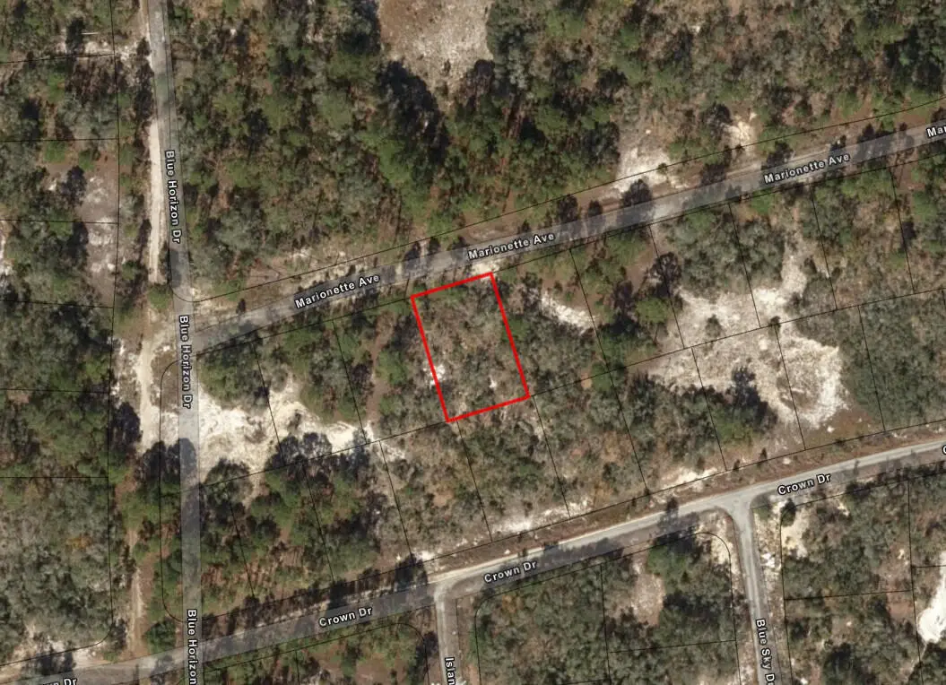 387 Marionette Avenue, Lake Placid, FL 33852 - #1