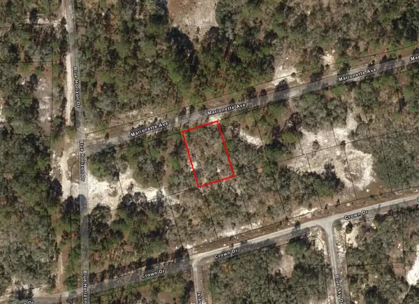 387 Marionette Avenue, Lake Placid, FL 33852
