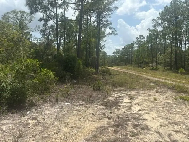 387 Marionette Avenue, Lake Placid, FL 33852 - #3