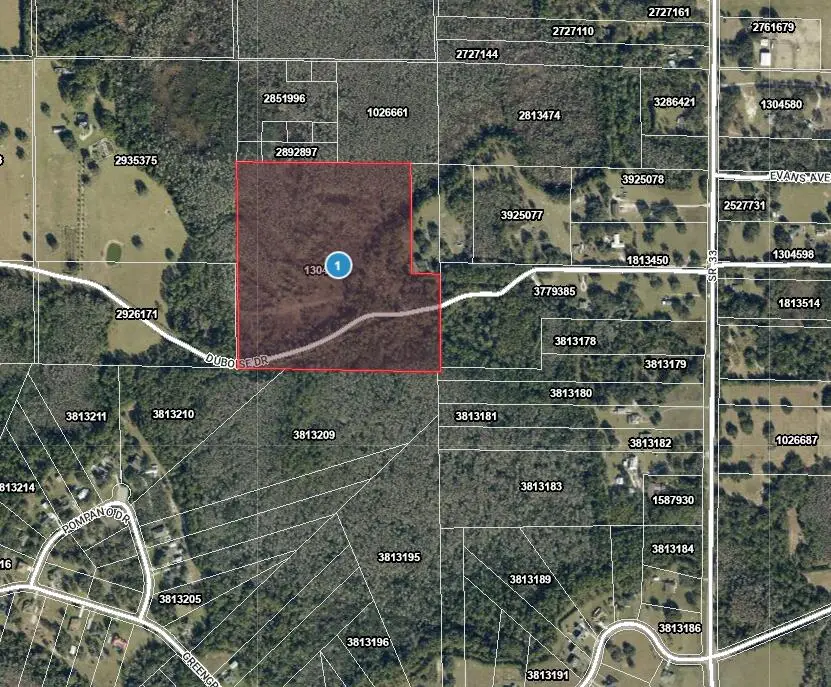 Tbd Duboise Drive, Groveland Mascotte, FL 34736 - #2