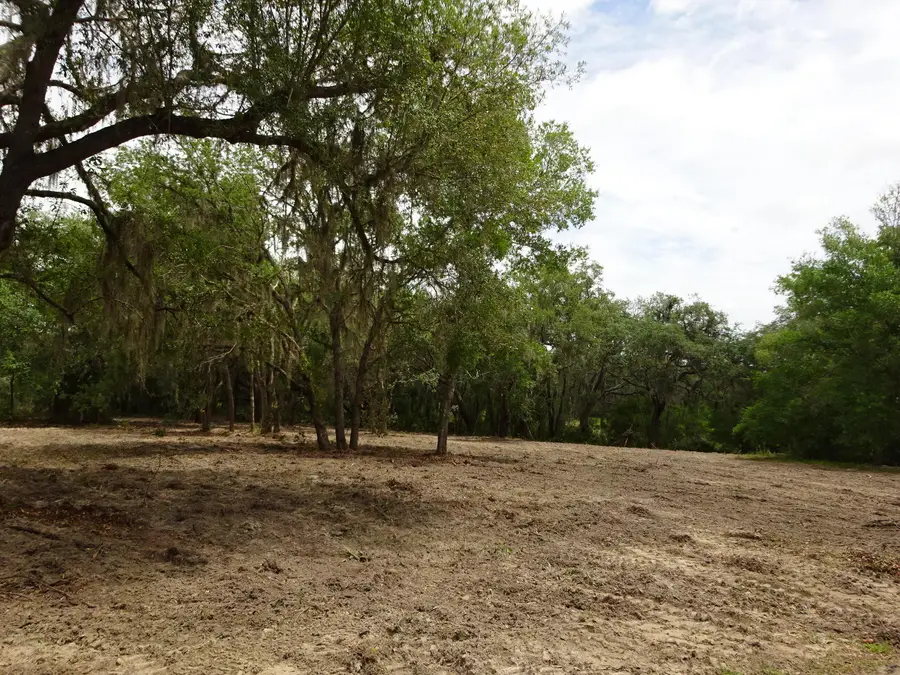 Lots 449,450,451,452,453 SW Shorewood Drive Sw, Dunnellon, FL 34431 - #3