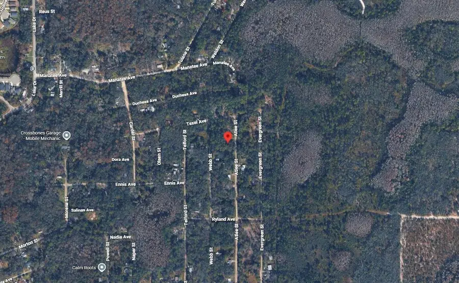 Tbd Atlee Street, New Port Richey, FL 34654 - #3