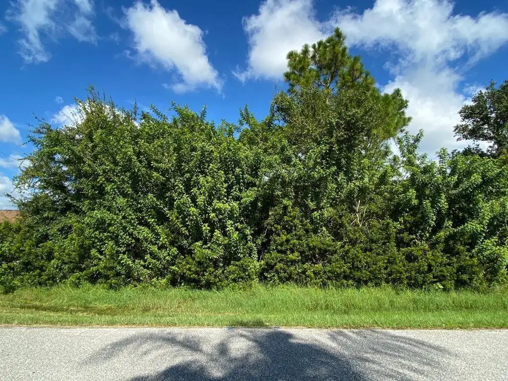 7066 Bargello Street, Englewood, FL 34224 - #1