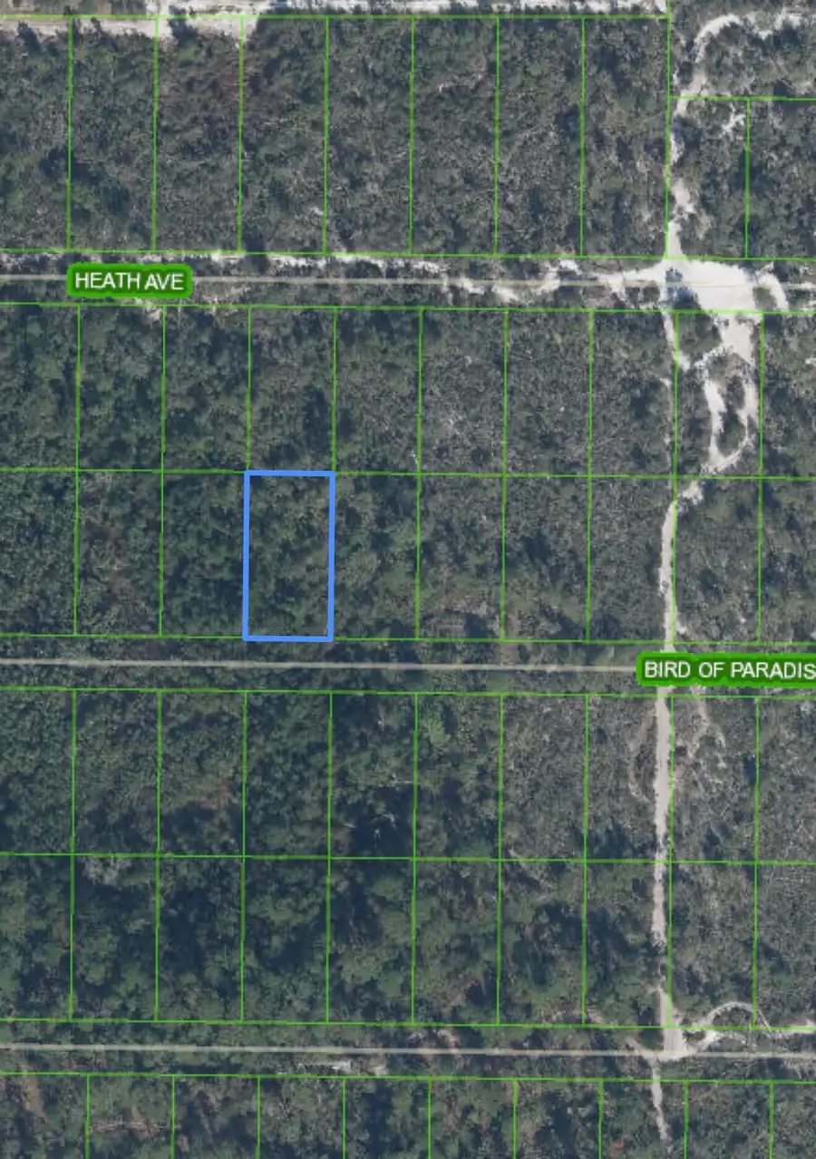 2330 Bird Of Paradise Avenue, Sebring, FL 33875 - #2