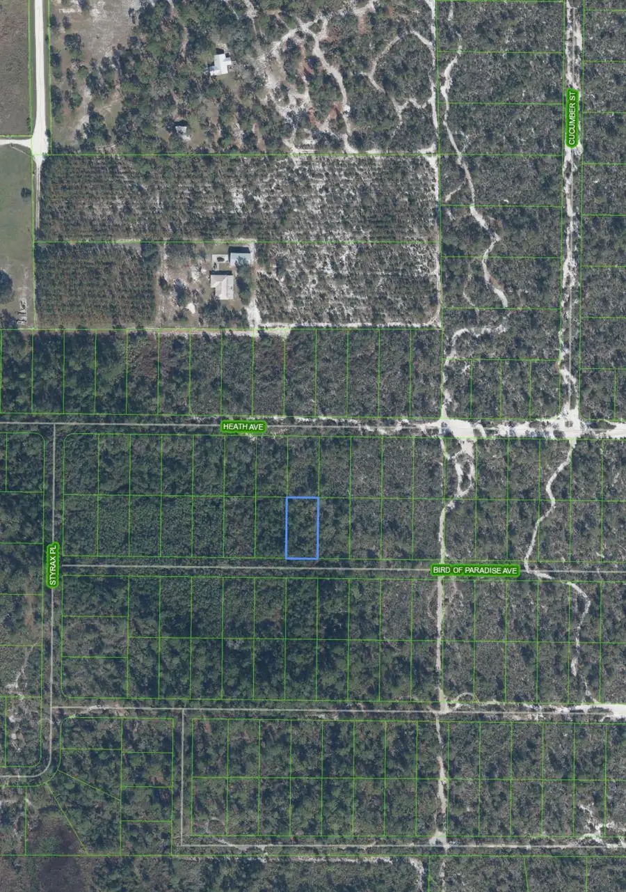 2330 Bird Of Paradise Avenue, Sebring, FL 33875 - #3