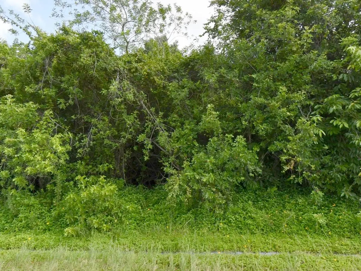 1081 SW Dartmouth Avenue Sw, Port Saint Lucie, FL 34953 - #1