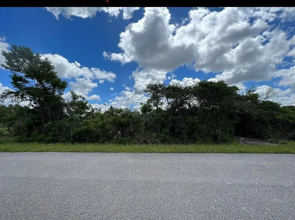 111 Marshall Avenue, Lake Placid, FL 33852 - #1