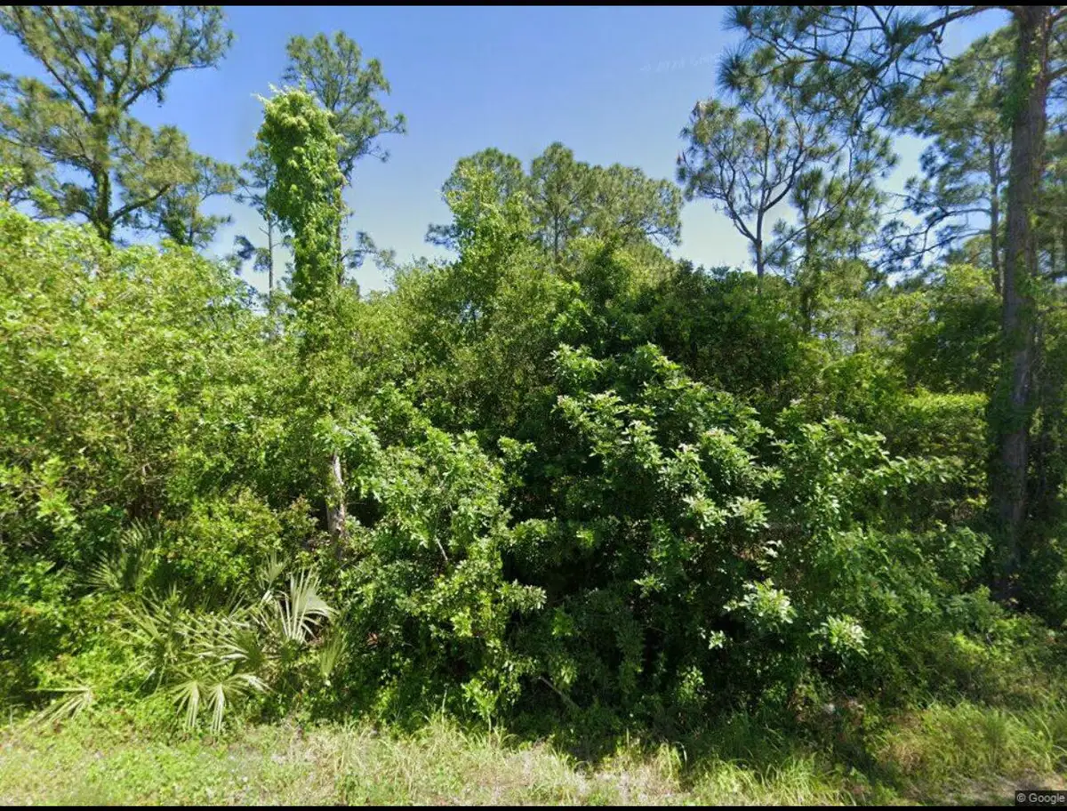 111 Suwannee Lane, Lake Placid, FL 33852 - #1