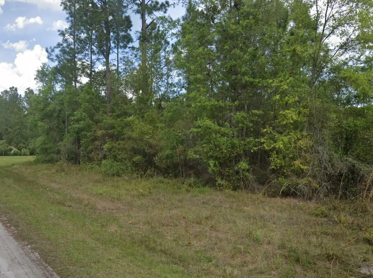 103 Glenside Street, Georgetown, FL 32139 - #1