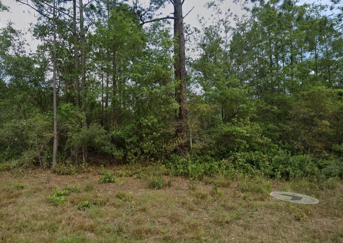 124 Roebuck Street, Georgetown, FL 32139 - #1