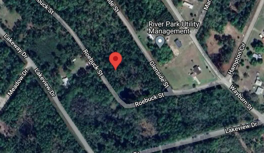 126 Roebuck Street, Georgetown, FL 32139 - #1