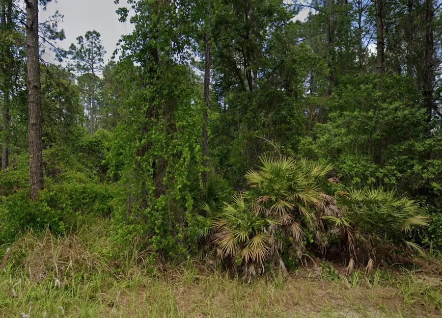 138 Pine Tree Drive, Palatka, FL 32177 - #2