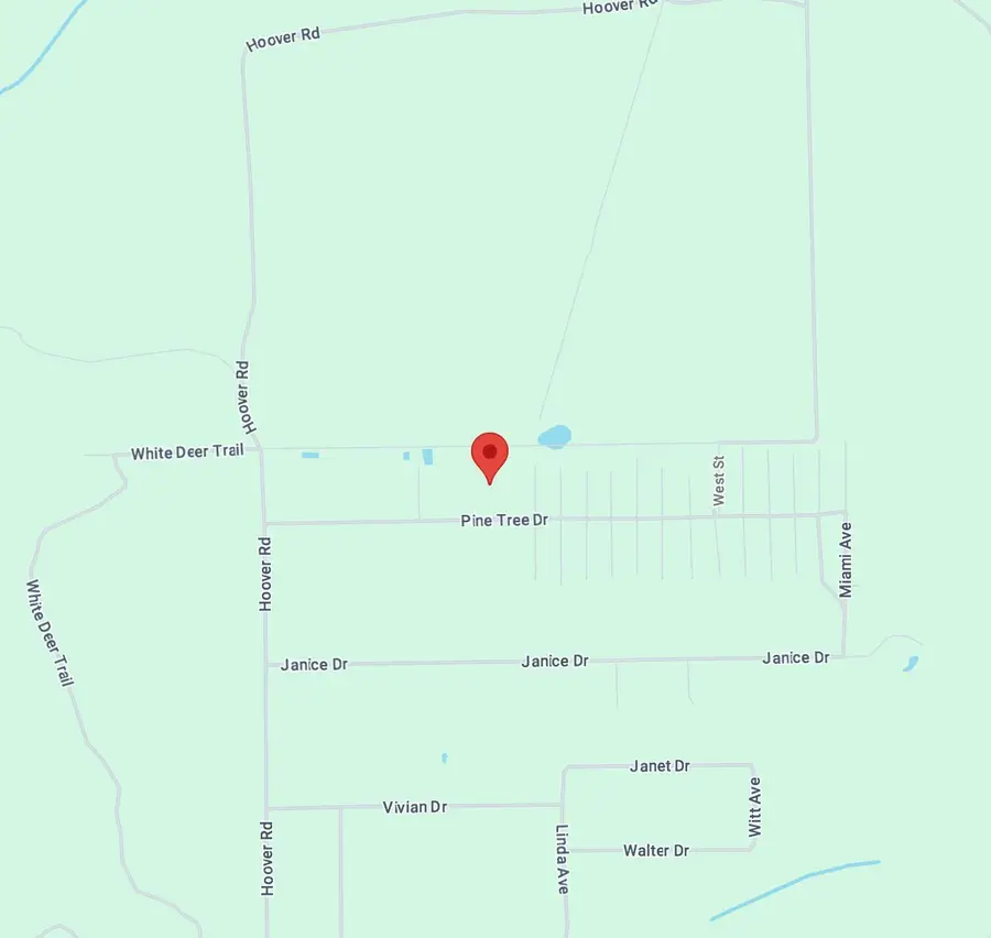 138 Pine Tree Drive, Palatka, FL 32177 - #3