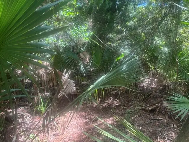 0 Ave O Avenue, Ormond Beach, FL 32174 - #2