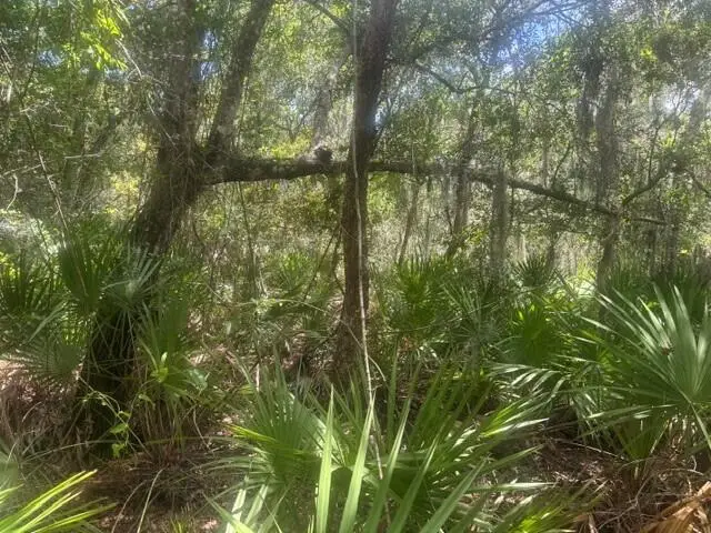 0 Ave O Avenue, Ormond Beach, FL 32174 - #3