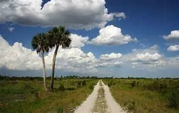 19320 NW 300th Street, Okeechobee, FL 34972 - #3