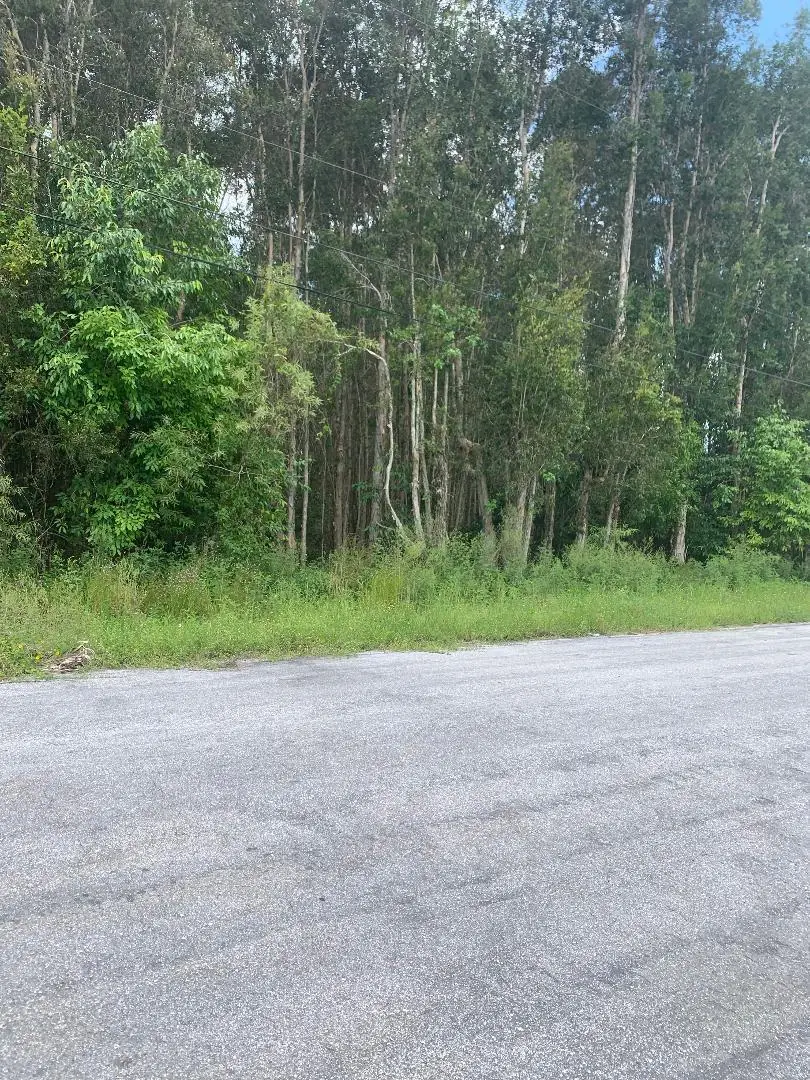 0000 87th Street N, The Acreage, FL 33412 - #1
