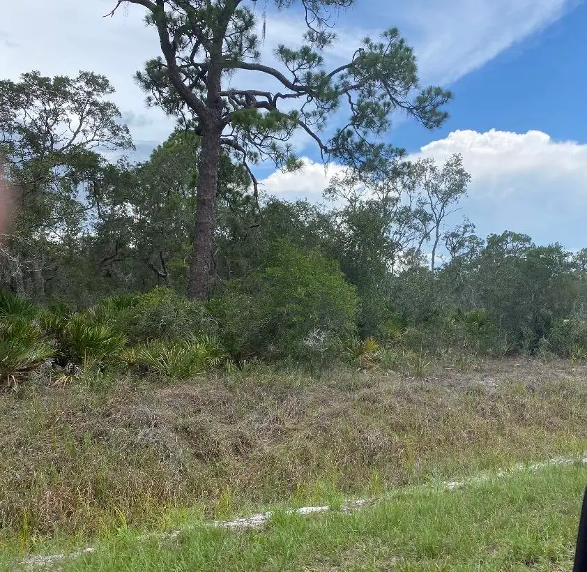 1002 Archie Summers Road, Lake Placid, FL 33852 - #1