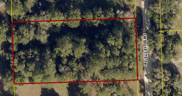 888 SW Boyette Terrace, Lake City, FL 32024 - #2