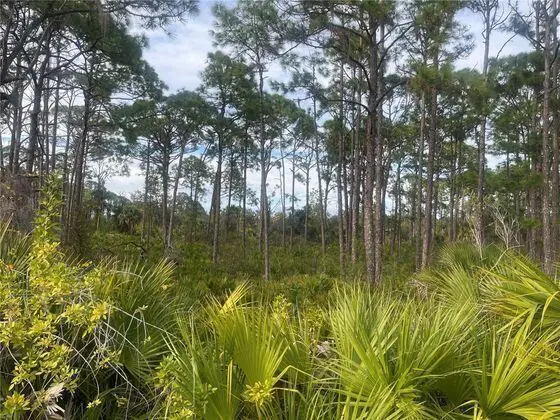 12144 Judson Avenue, Port Charlotte, FL 33953 - #1