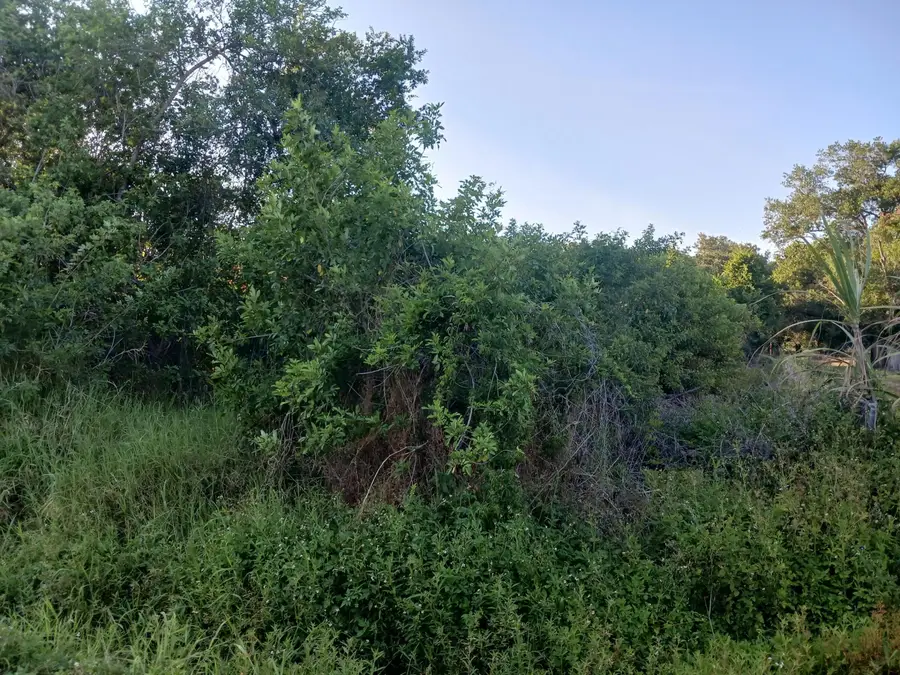 7025 NE 11th Lane, Okeechobee, FL 34974 - #3