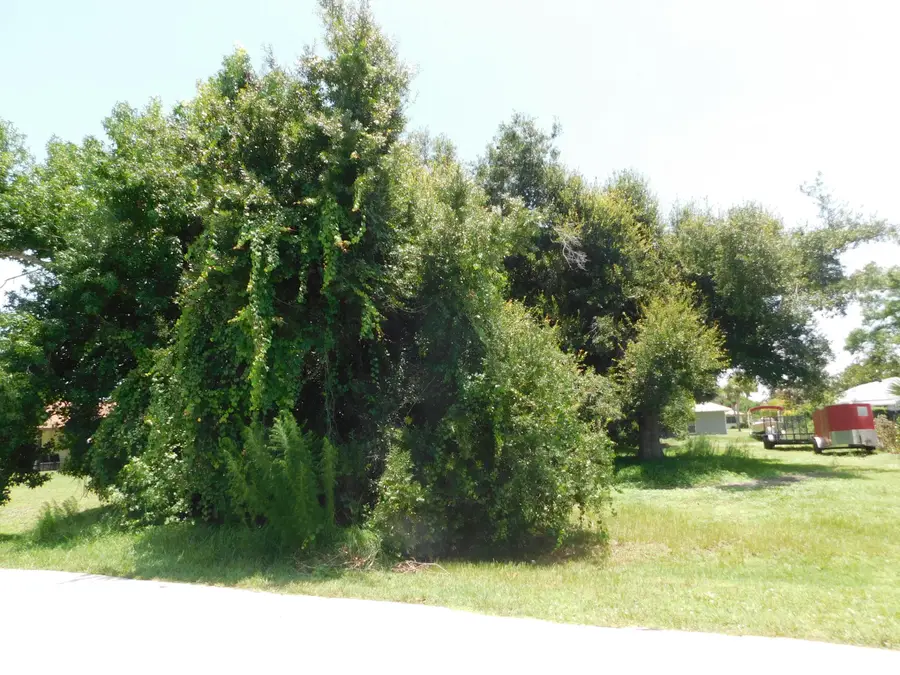 5212 Paleo Pines Circle, Fort Pierce, FL 34951 - #2